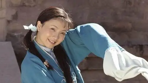 陶虹的这六部精彩电视剧第一部看过的人孩子都有了吧