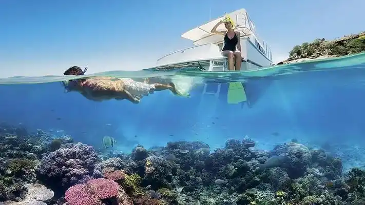 澳洲急了!急盼中国人回归,多方呼吁:改革签证!