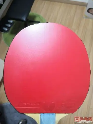 蝴蝶d05胶皮, 9.5成新,正品行货 290元转让