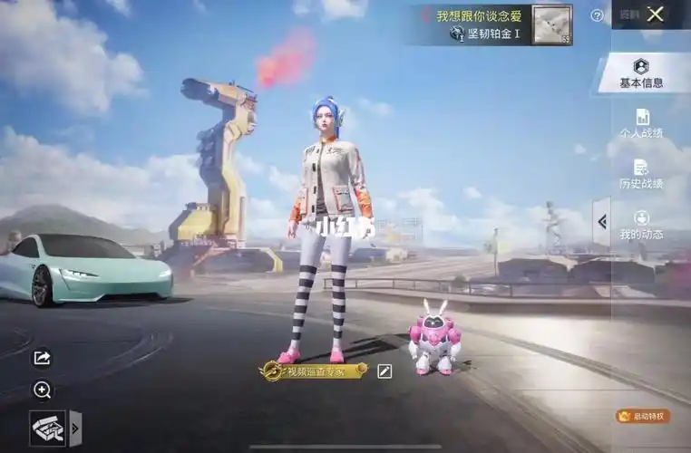 和平精英巡查衣服