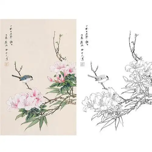 田世光工笔竖幅花鸟白描底稿sg25