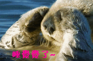 海濑睡觉觉了gif动图_动态图_表情包下载_soogif