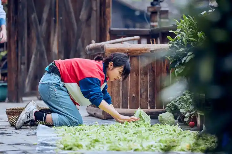 清新天然反差萌!张子枫《向往的生活3》获喜爱