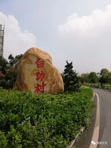 白沙村蝶变一个倾情乡村振兴的养鸡能手振兴乡村系列之二十二