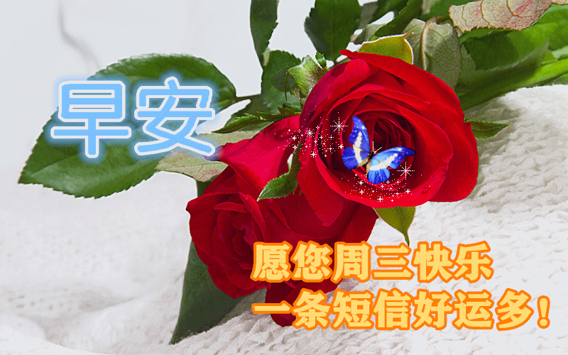 早上好动态表情图片大全,三伏天早晨好动图美图大全|早安|挚爱|好心情