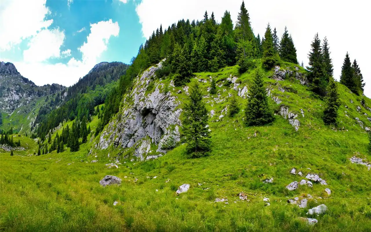 精选绿色护眼清新大自然高清风景素材图片电脑桌面壁纸下载第二辑