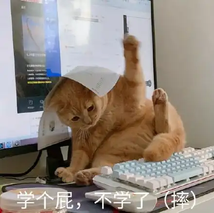 学个屁 不学了 摔 猫咪表情包_猫咪_学个_不学表情
