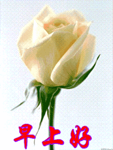 周末早晨好问候语动态图微信早晨好表情包图片