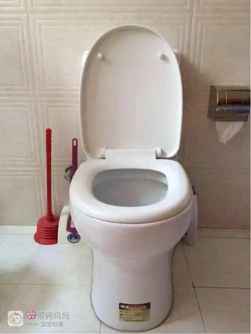 【我家专用区】专属马桶