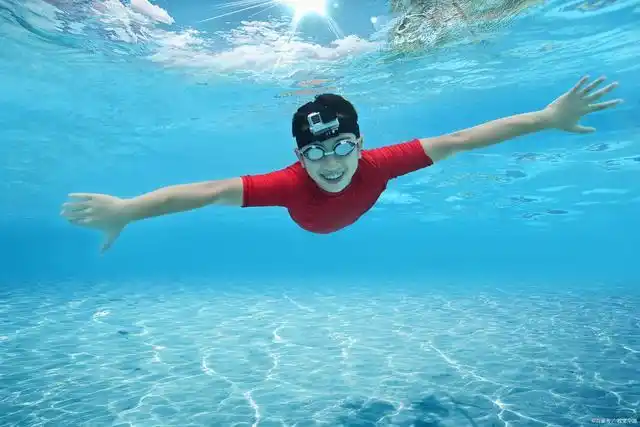 生活通过一次跳水教给了我一个道理