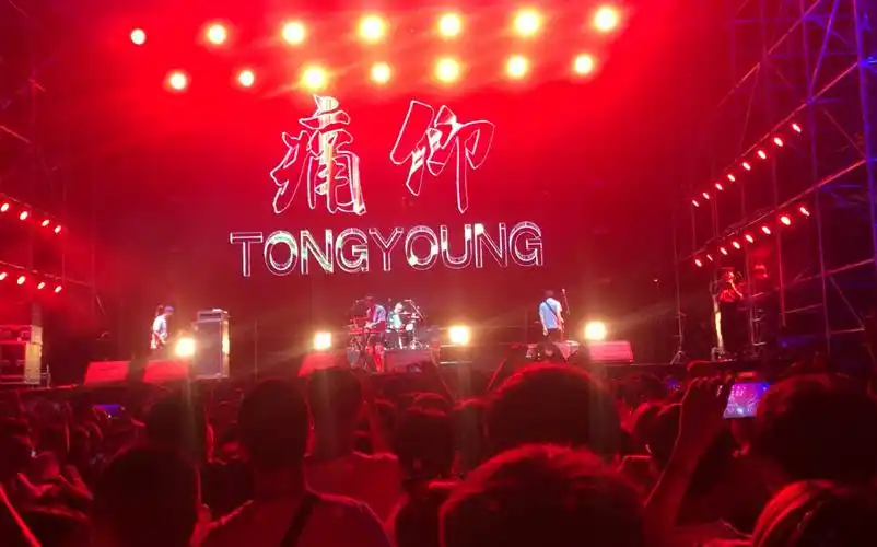 【成都19超级草莓音乐节】痛仰乐队-再见杰克live