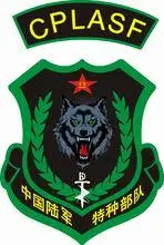 狼牙特种部队臂章