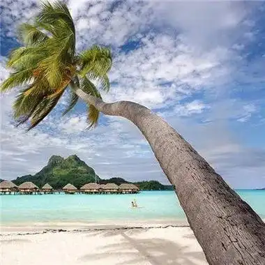 风水招财微信头像风景图片如何影响你的事业?