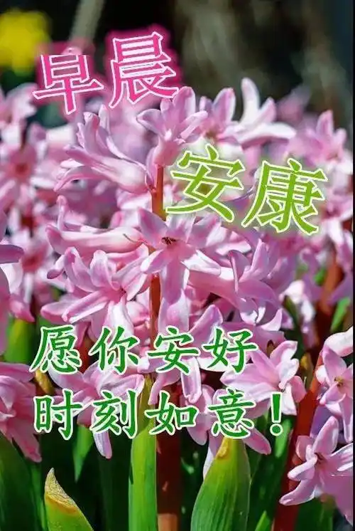 8张早安问候祝福语图片带字温馨聊天的早上好问候祝福语图片精选