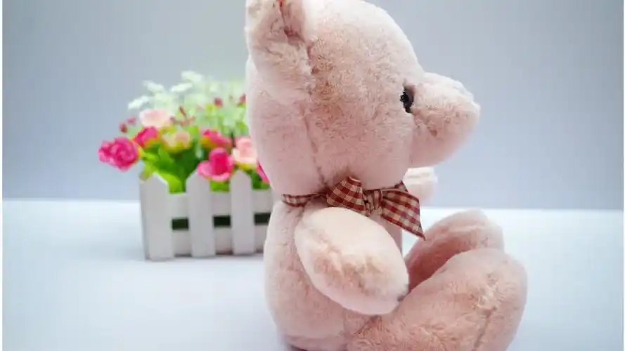 可爱的泰迪熊公仔,高清图片,电脑桌面-壁纸族