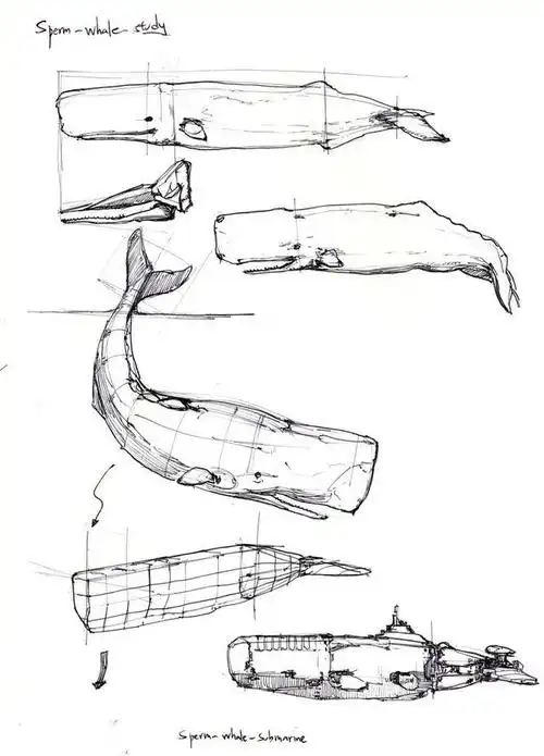 小设绘 | 非常有趣味的,动物仿生产品设计