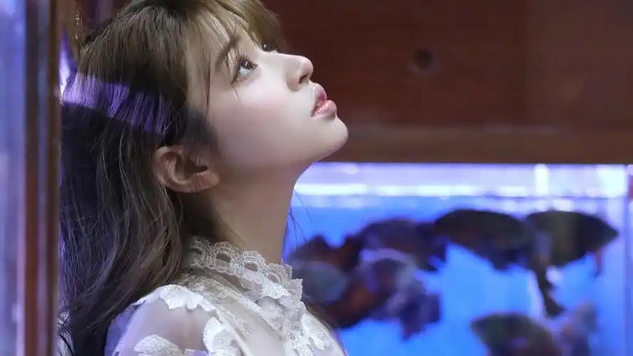 旗袍美女养眼写真,高清壁纸图片,清纯美女-回车桌面