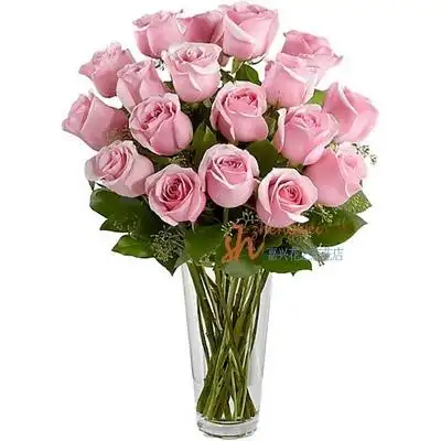 粉玫瑰19枝花瓶花