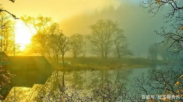 人生感悟唯美的句子,句句有意境,哪一句说到你心坎里了