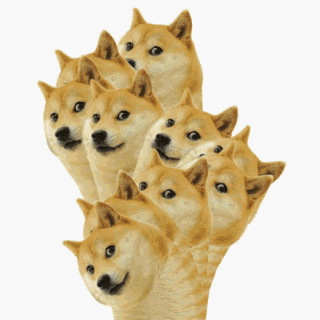 doge 狗狗摇头