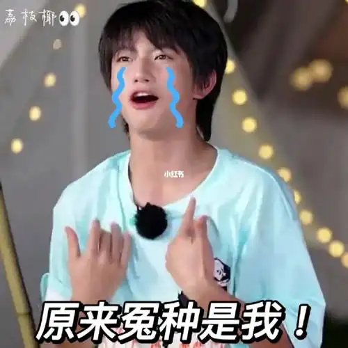 tf家族三代  #tf家族三代表情包  #恭喜你发现了宝藏  #我最爱的