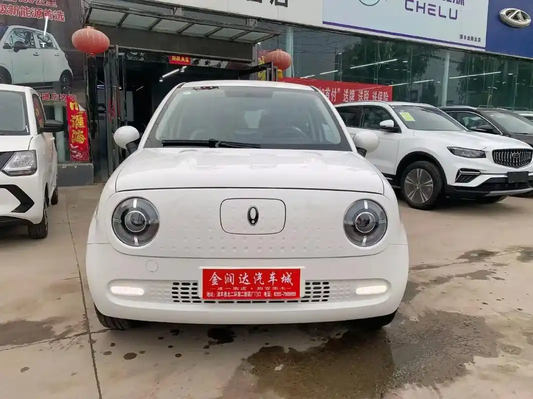 欧拉黑猫现车现车