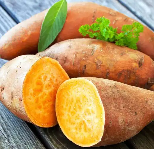 因为便宜,很多人买红薯都是几十斤一袋.