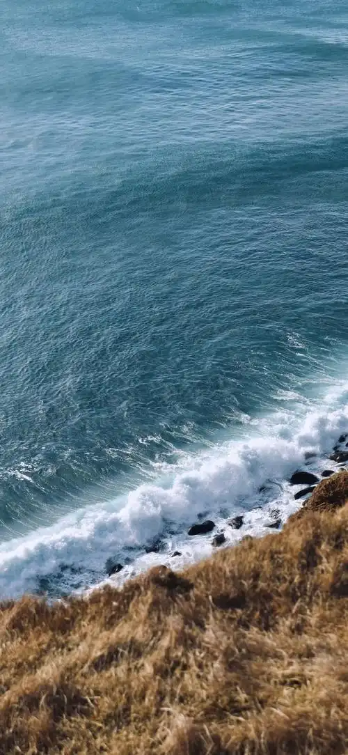 高清壁纸##摄影