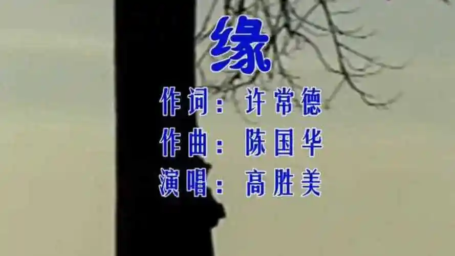 高胜美歌曲《缘》_腾讯视频
