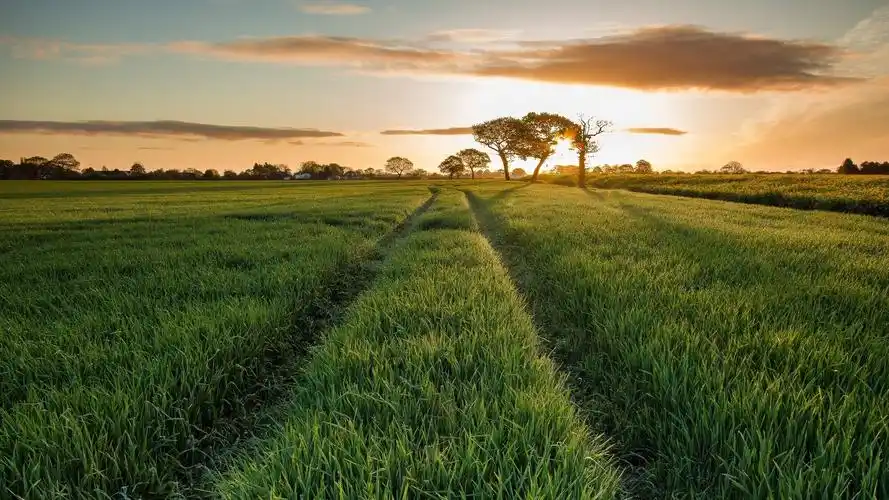 草原自然风景高清图片桌面壁纸高清大图预览1920x1200_风景壁纸下载