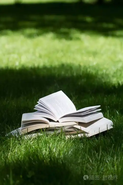 在一个绿色的公园中打开书籍在草地上
