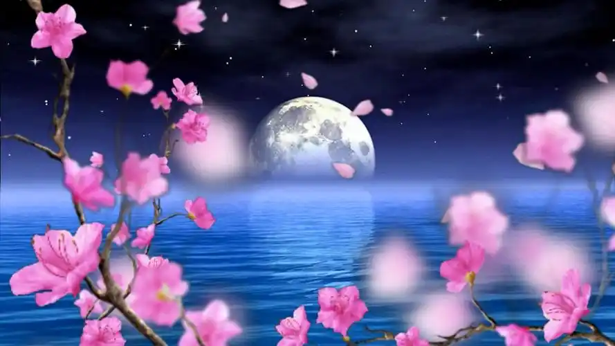 中秋素材-鲜花绽放海上升明月唯美中秋舞台演出背景视频素材