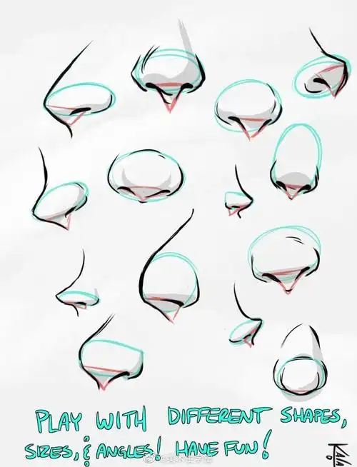 绘画参考#不同角度鼻子的画法