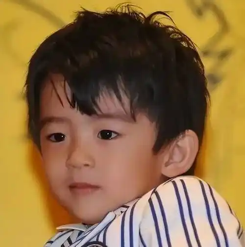 14岁的谢振轩:长得越来越像爸爸谢霆锋,与弟弟可继承10亿家产_张柏芝