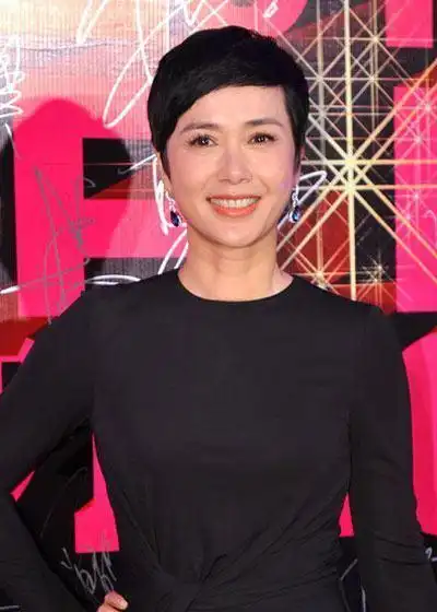 蒋雯丽的大妈发型太显老换另外3款更减龄人都洋气了不少