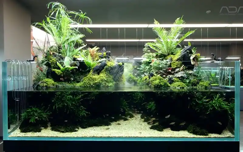 【水陆生态缸】ada180×120×60 水陆生态景观缸