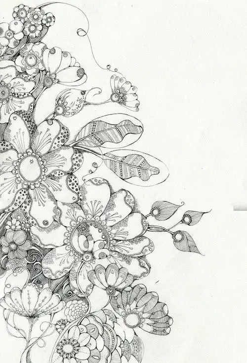 线描 花 _ 黑白装饰画[图片专辑] _ 图片网