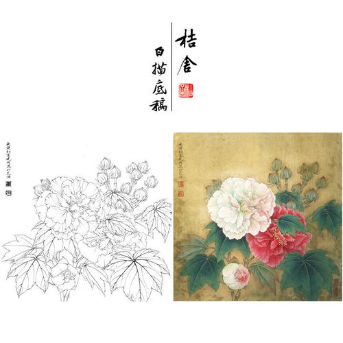 李晓明工笔画白描底稿芙蓉花方形小品花鸟线稿带步骤图临摹稿kb23