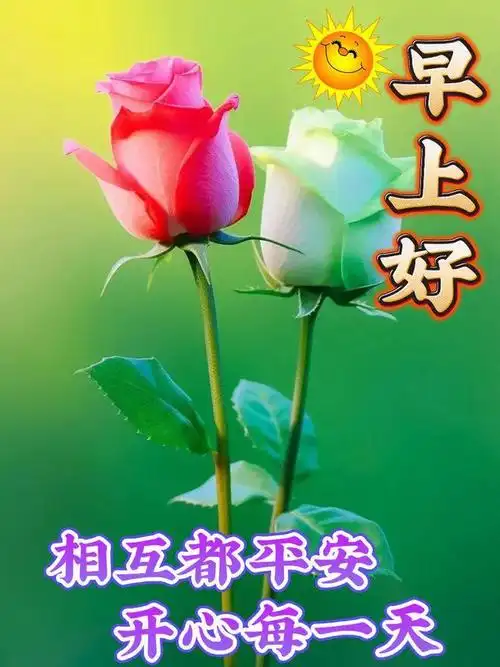 最新早安祝福图片带问候语精选早安温馨祝福图片
