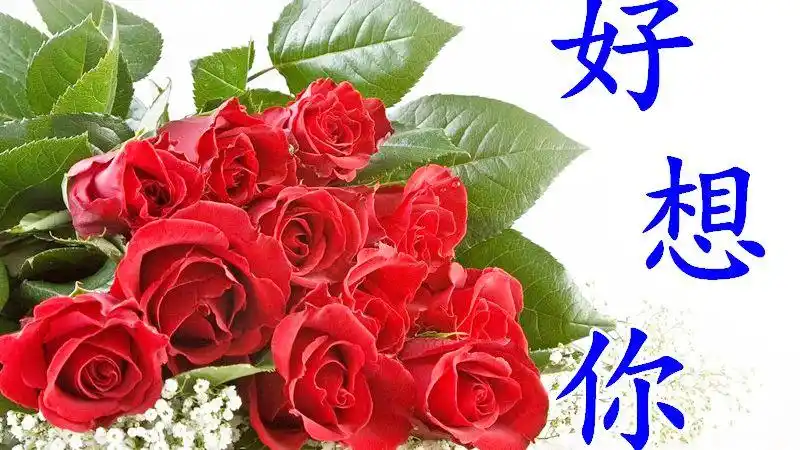 亲爱的早上好,醒了吗?想你,好想你,想你只能在心里