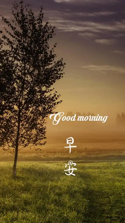 早安美好的清晨,高清图片,手机锁屏桌面-壁纸族