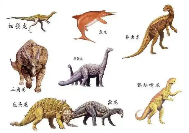 讲真你们知道孩子为什么这么喜欢恐龙么答案让人惊喜