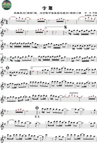 少年——中音直笛独奏(乐谱 伴奏 演奏视频)_手机搜狐网