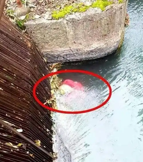 昭通五德一小女孩失足掉下沟渠,结果.