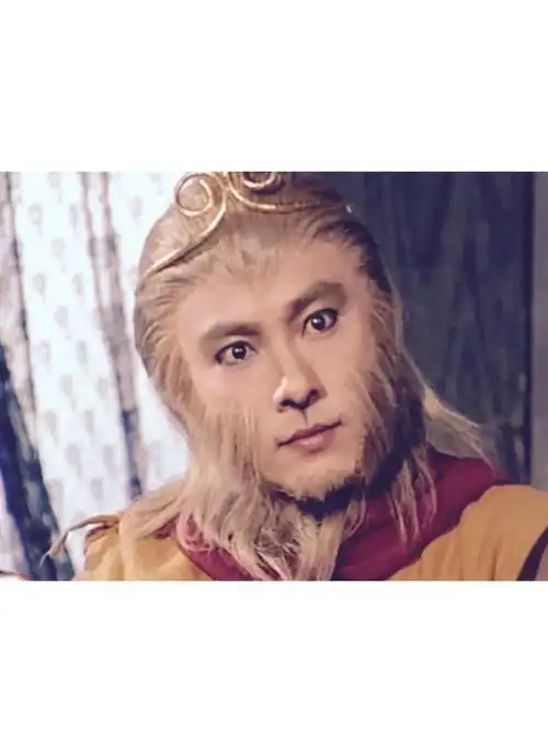 tvb西游记/张卫健孙悟空/张空空/云海翻腾孙…-堆糖,美好生活研究所