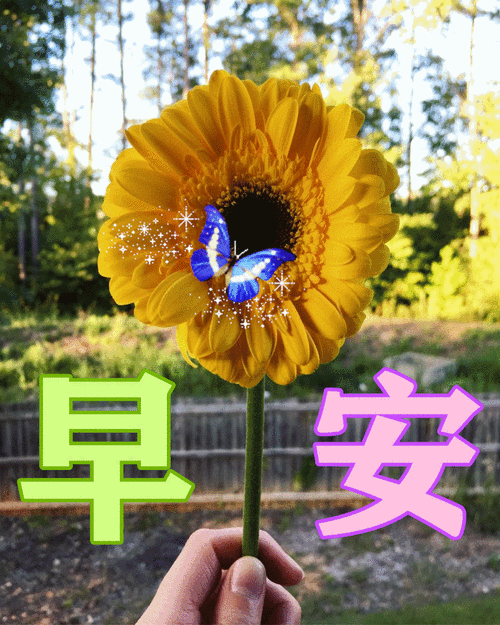 回复早上好问候语温馨短句(高情商早上好问候语温馨短句) - 个人创业