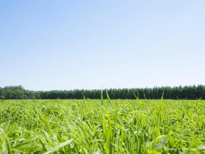 高清图片素材二(17p)[中国photoshop资源网|ps教程|psd模板|照片处理