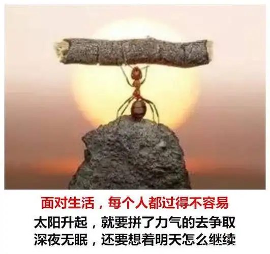 生容易,活也容易,生活却真的不易