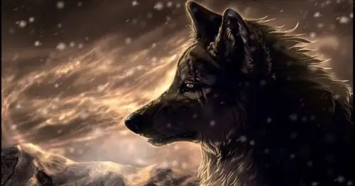 嘉德罗斯与芊芊