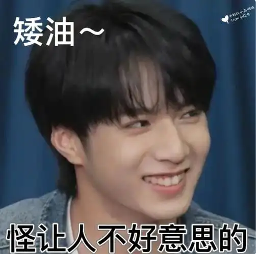 刘耀文#表情包第二弹